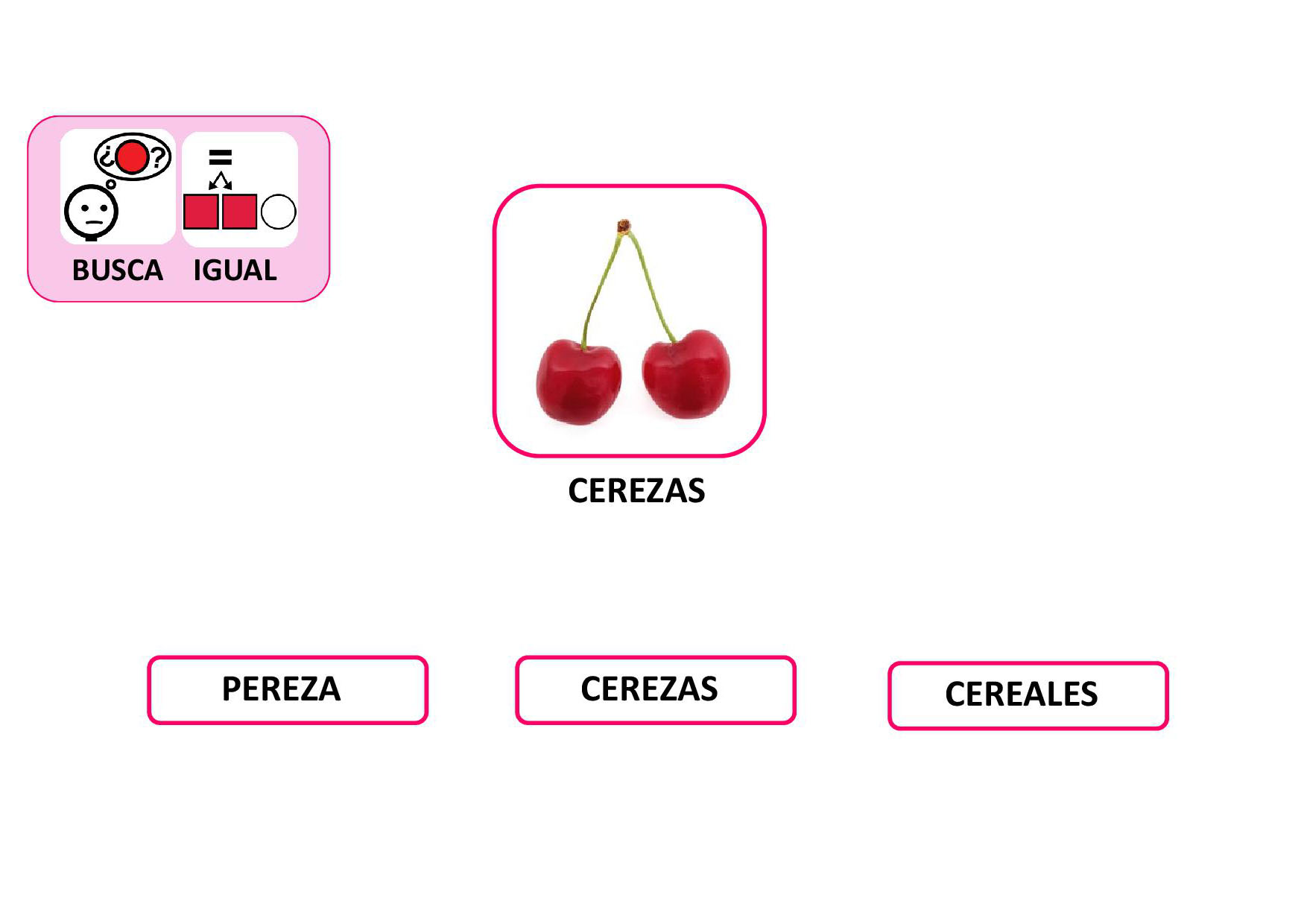 La Primavera - Actividades interactivas